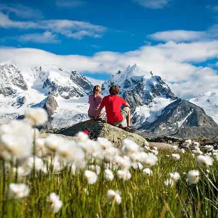 فندق كريستال سوبيريور 4*