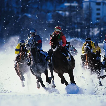 Szálloda Crystal Superior