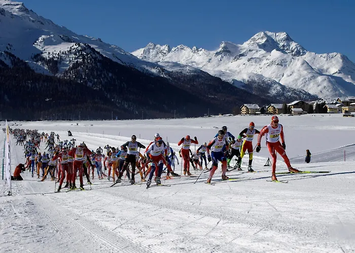 Crystal Superior Hotel 4*